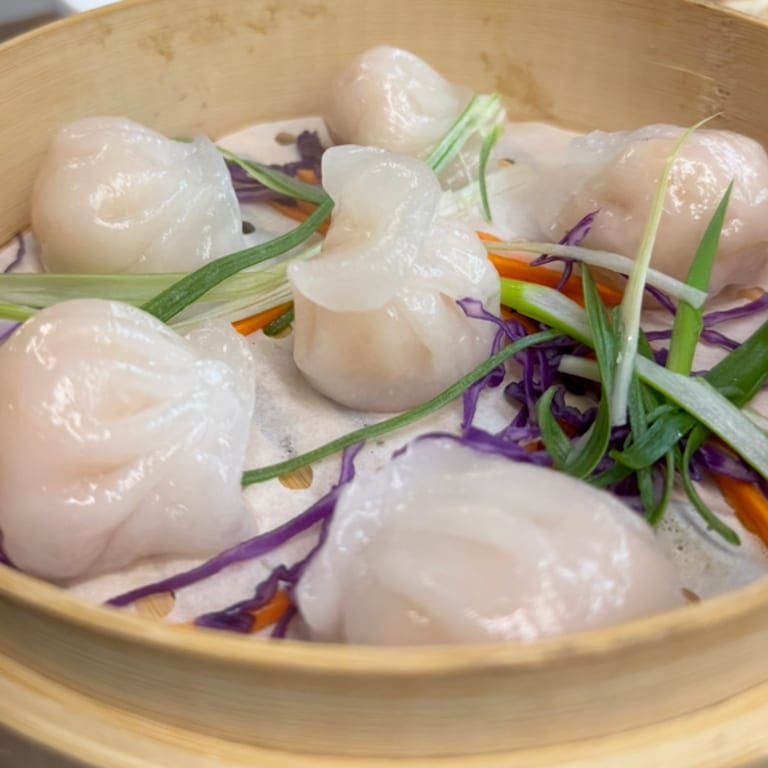 Savor Our Dumplings
